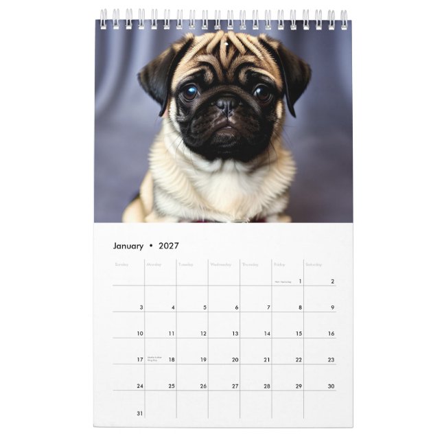 Calendário de 2025 Cuppies (Jan 2027)