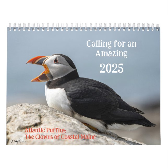 Calendário de 2025 do Atlantic Puffins (Capa)
