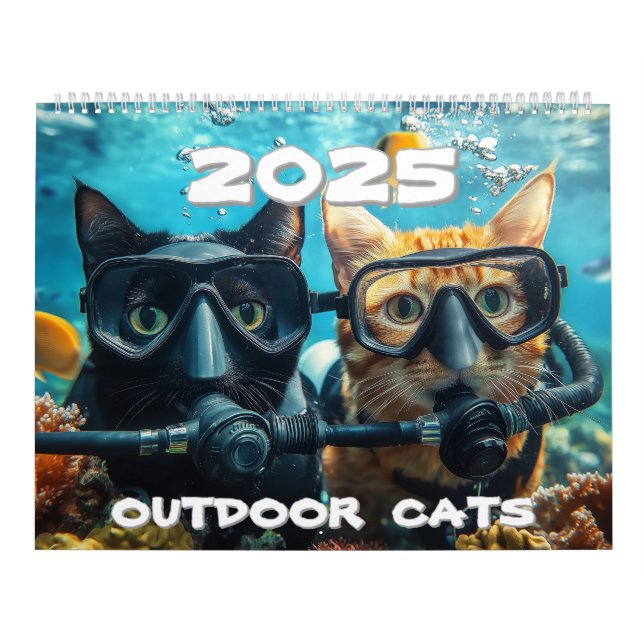Calendário de 2025 para Gatos Externos (Capa)