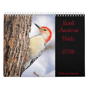 Calendário de 2026 de Aves da América do Norte