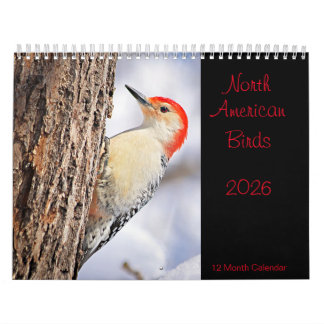 Calendário de 2026 de Aves da América do Norte
