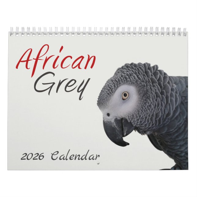 Calendário de 2026 de Papagaio-Cinza Africano (Capa)