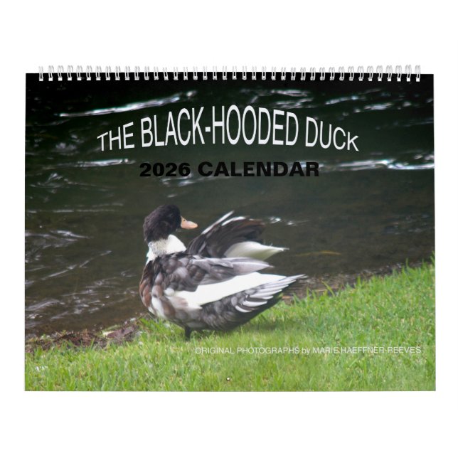 CALENDÁRIO DE 2026 DO PATO DE CAPUZ PRETO (Capa)
