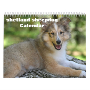 Calendário de 2027 do Cão de Pastoreio de Shetland
