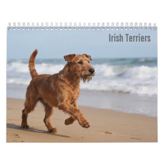 Calendário de 2027 do Terrier Irlandês