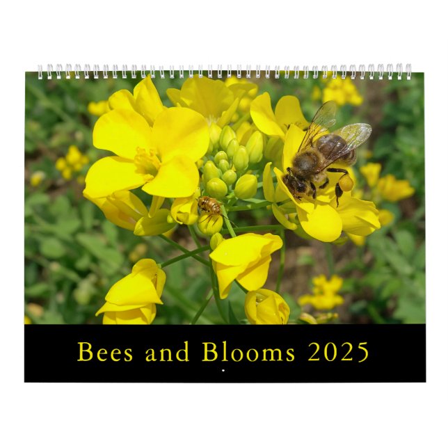 Calendário de Abelhas e Blooms 2025 (Capa)