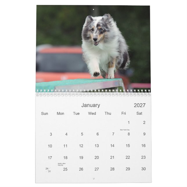 Calendário de Agilidade do Shetland Sheepdog (Jan 2027)