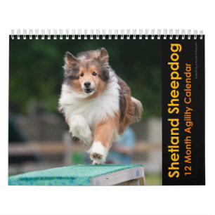 Calendário de Agilidade do Shetland Sheepdog