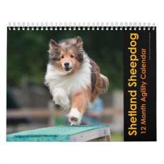 Calendário de Agilidade do Shetland Sheepdog