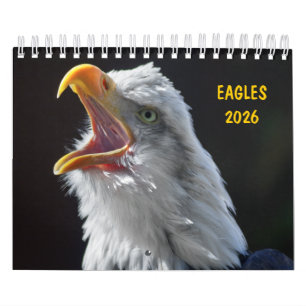 Calendário de Águias