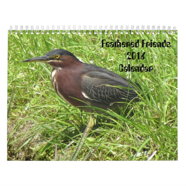 Calendário de Amigos de 2016 (Encore) (Capa)