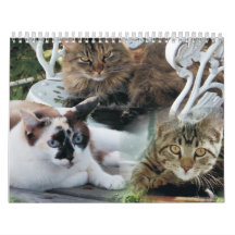 calendário de amigos felinos