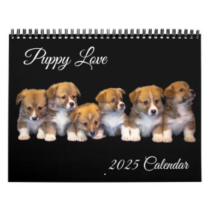 Calendário de Amor de Puppy