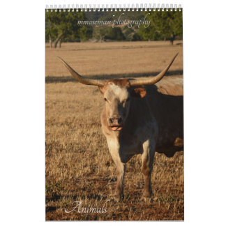 Calendário de Animais