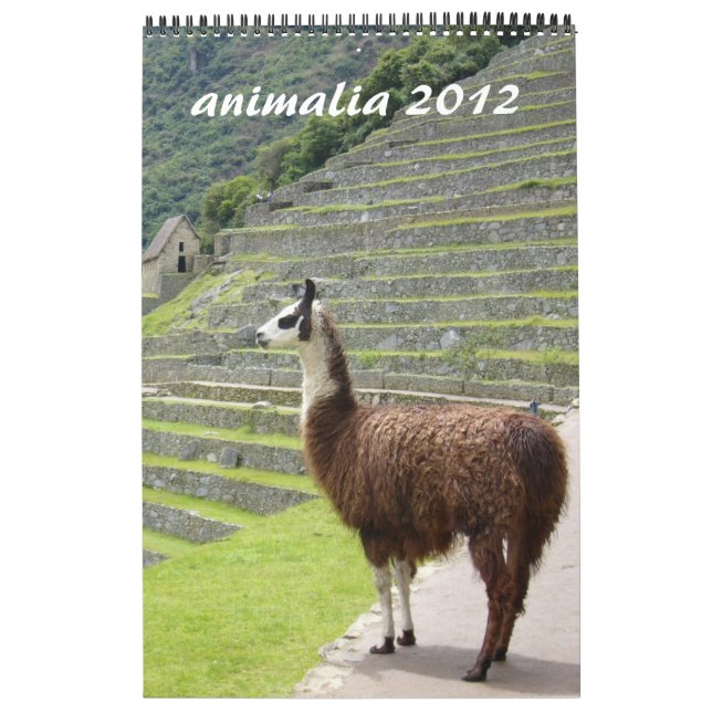 calendário de animais 2012 (Capa)