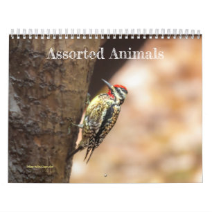 Calendário de Animais Associados