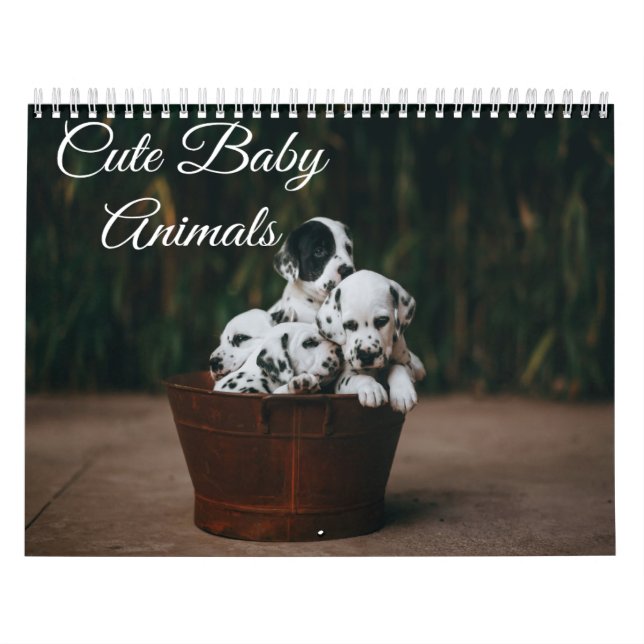 Calendário de Animais Bebês Fofos (Capa)