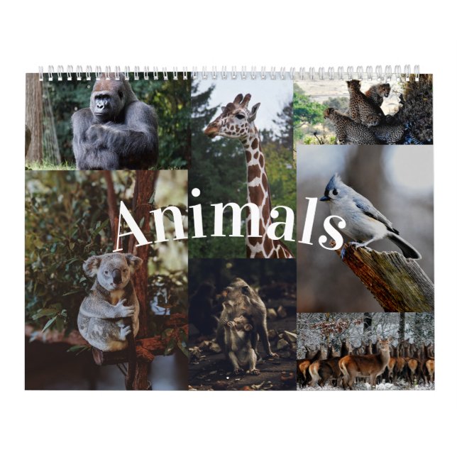 Calendário de Animais do Calendário de Parede Domé (Capa)