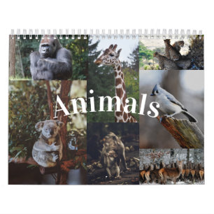 Calendário de Animais do Calendário de Parede Domé