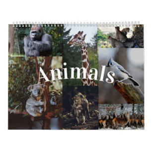 Calendário de Animais do Calendário de Paredes/E