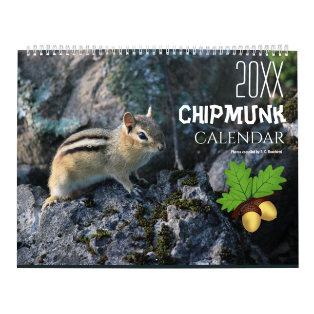 Calendário de Animais Esquilo Fofo 20XX 2027 Vida  (Capa)