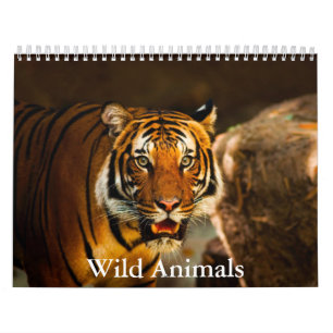 Calendário de Animais Selvagens