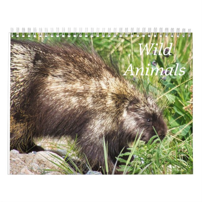 Calendário de Animais Selvagens (Capa)