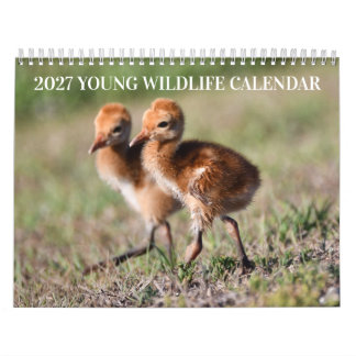 Calendário de Animais Selvagens Jovens 2027
