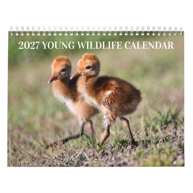 Calendário de Animais Selvagens Jovens 2027 (Capa)