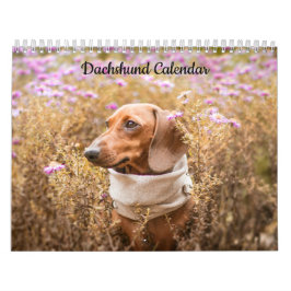 Calendário de Ano Personalizado do Dachshund