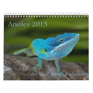 Calendário de Anoles 2013