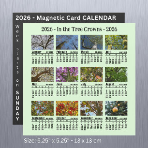 Calendário de Árvore de Fotografias Personalizada