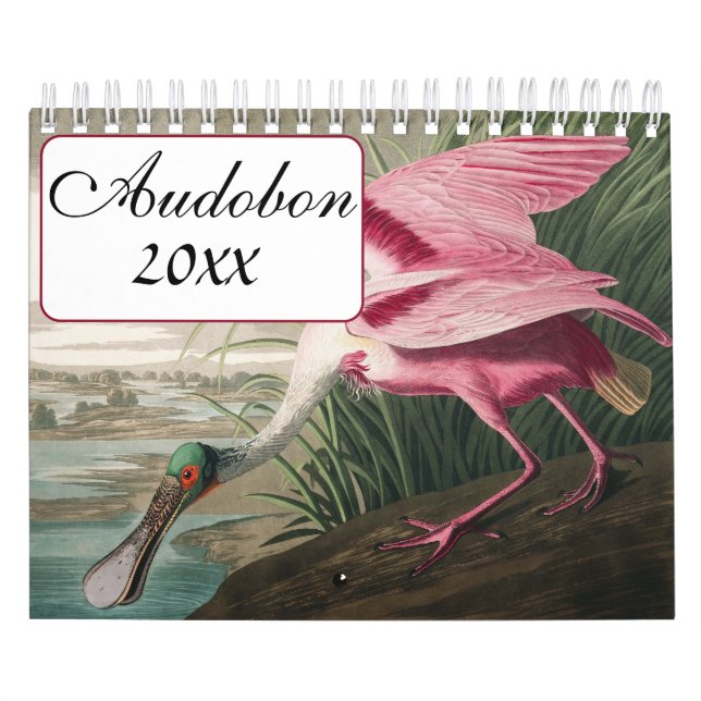 Calendário de Ave Audobon (Capa)