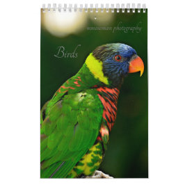 Calendário de Aves