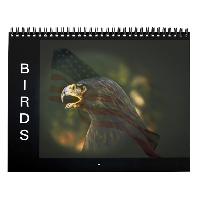 Calendário de Aves (Capa)