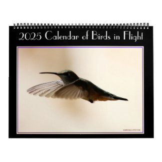 Calendário de Aves 2020 em Voo