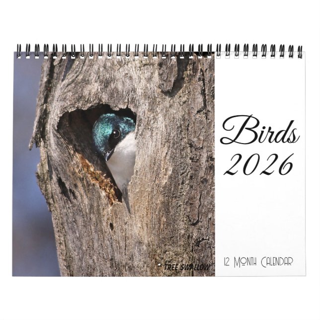 Calendário de Aves 2026 (Capa)