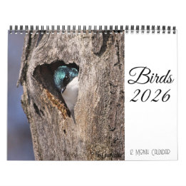 Calendário de Aves 2026