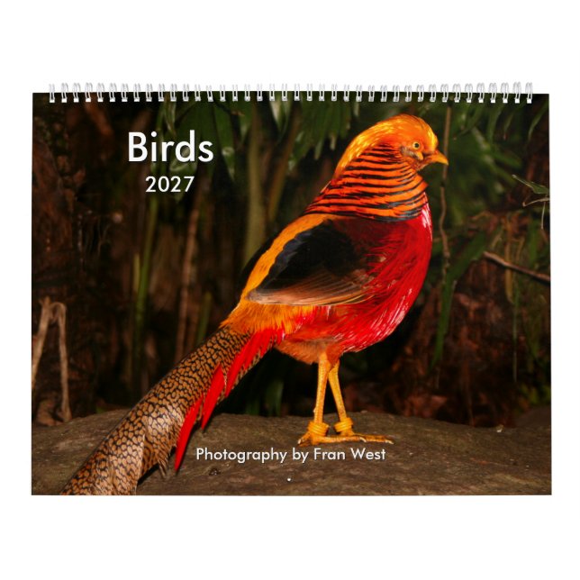 Calendário de aves 2027 (Capa)