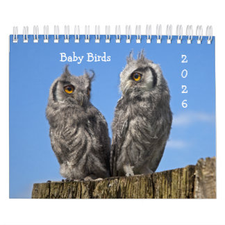 Calendário de Aves Bebidas