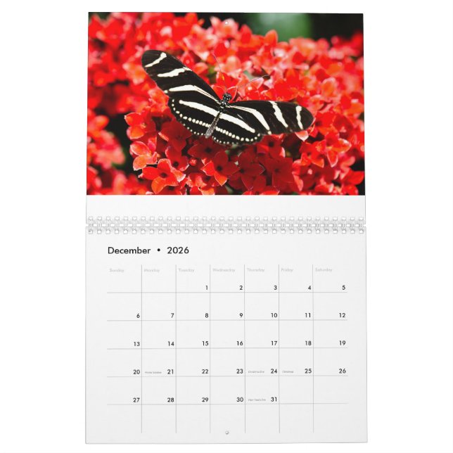 Calendário de Aves, Borboletas e Flores (Dez 2026)
