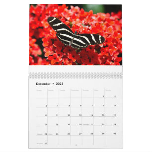 Calendário de Aves, Borboletas e Flores