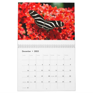 Calendário de Aves, Borboletas e Flores
