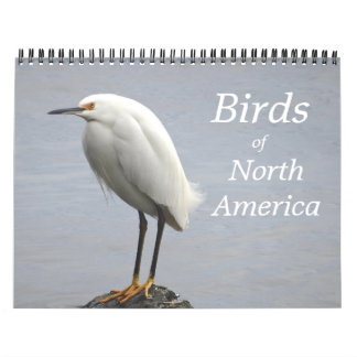 Calendário de Aves da América do Norte