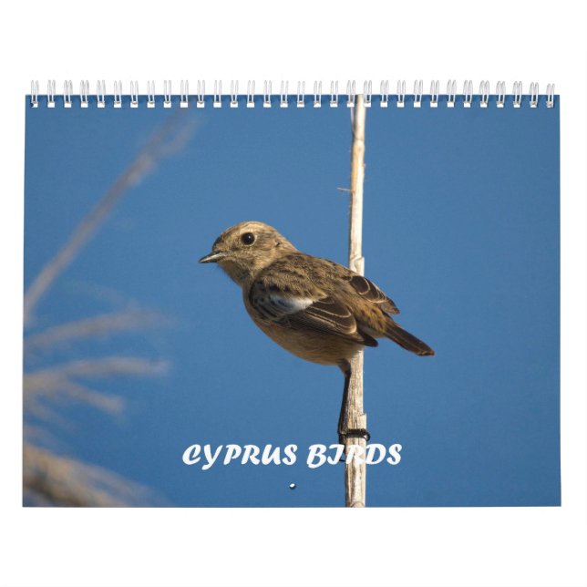 Calendário de aves de Chipre (Capa)