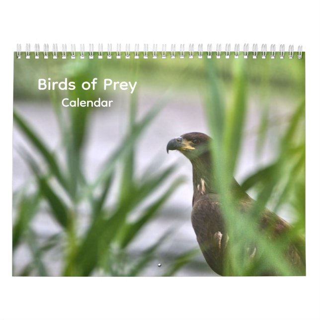 Calendário de Aves de Rapina (Capa)