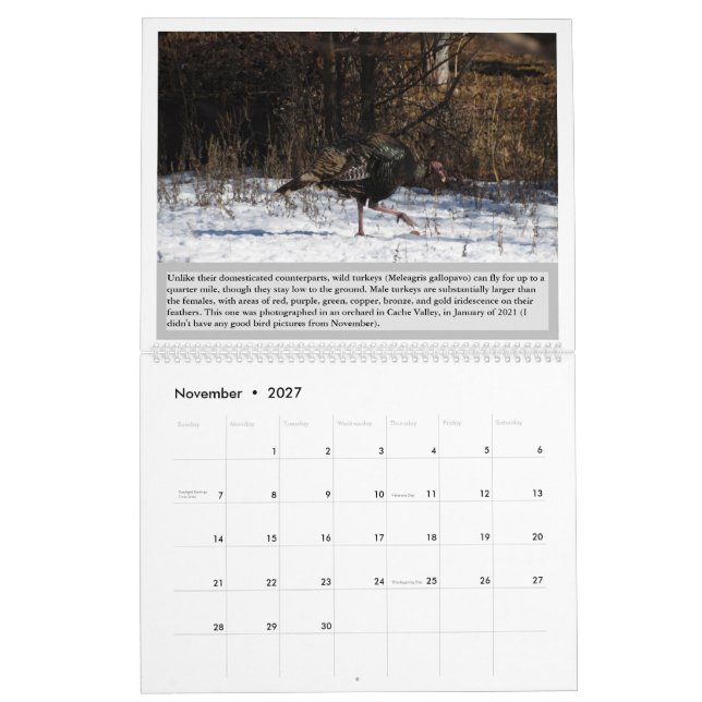 Calendário de Aves de Utah 2027 (Nov 2027)