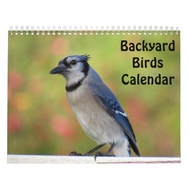 Calendário de Aves do Quintal (Capa)