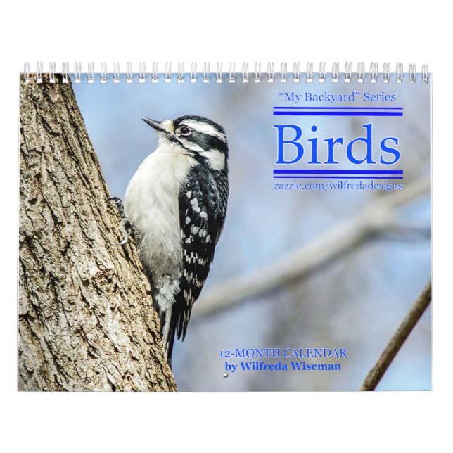 Calendário de Aves do Quintal 4º da Série (Capa)