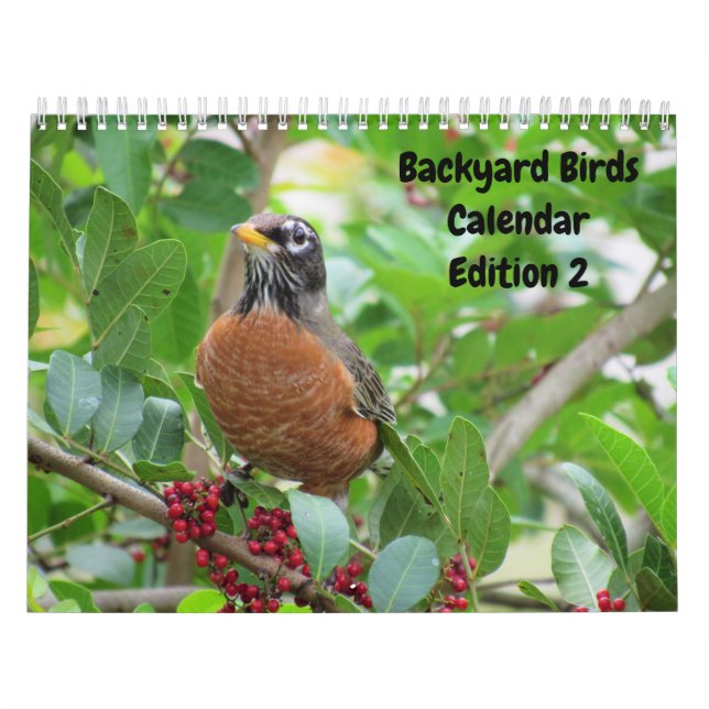 Calendário de Aves do Quintal - Edição 2 (Capa)